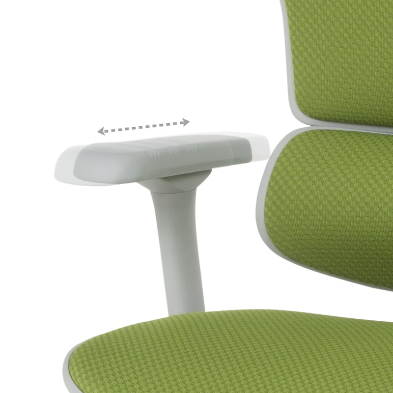 Ергономичен офис стол Ergohuman Elite 2 дамаска зелен-сива рамка